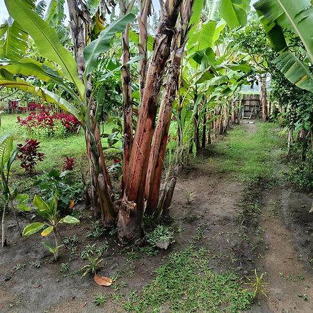 The Daun Puntik Homestay Pemenang Zewnętrze zdjęcie