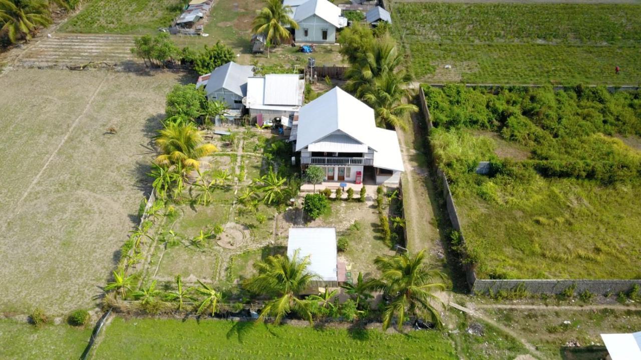 The Daun Puntik Homestay Pemenang Zewnętrze zdjęcie