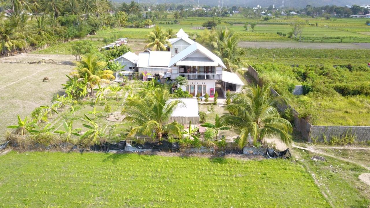The Daun Puntik Homestay Pemenang Zewnętrze zdjęcie