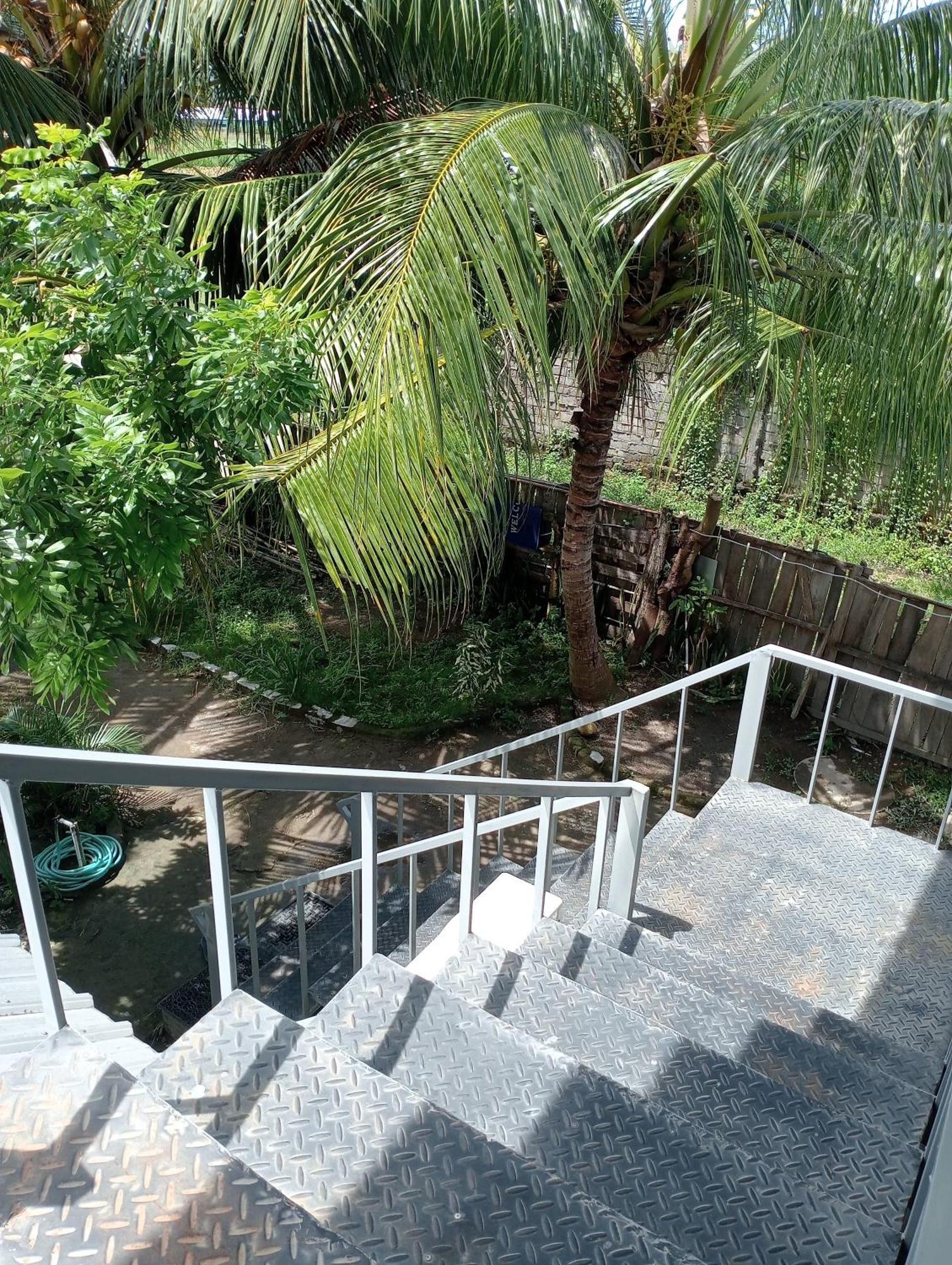 The Daun Puntik Homestay Pemenang Zewnętrze zdjęcie