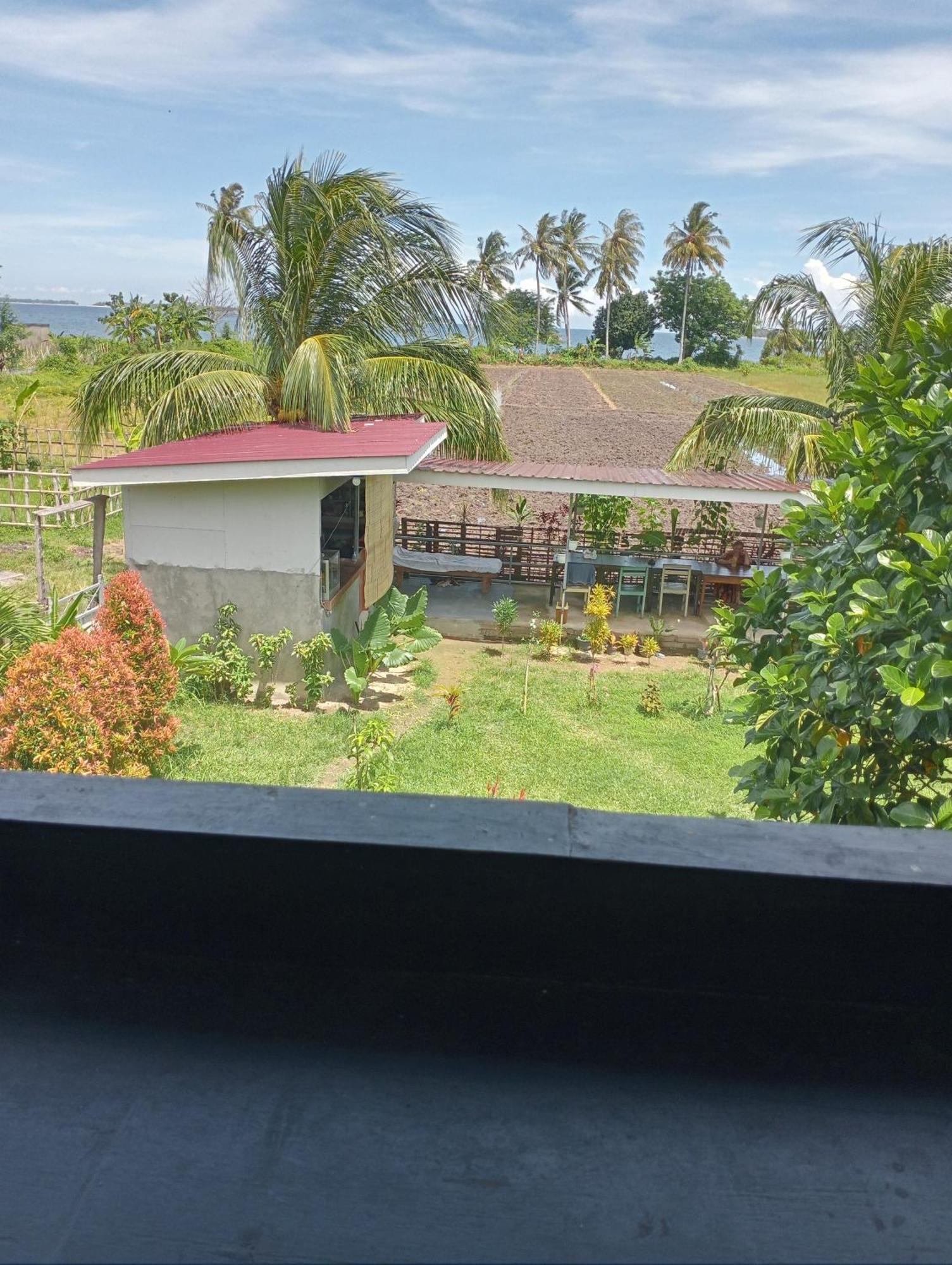 The Daun Puntik Homestay Pemenang Zewnętrze zdjęcie
