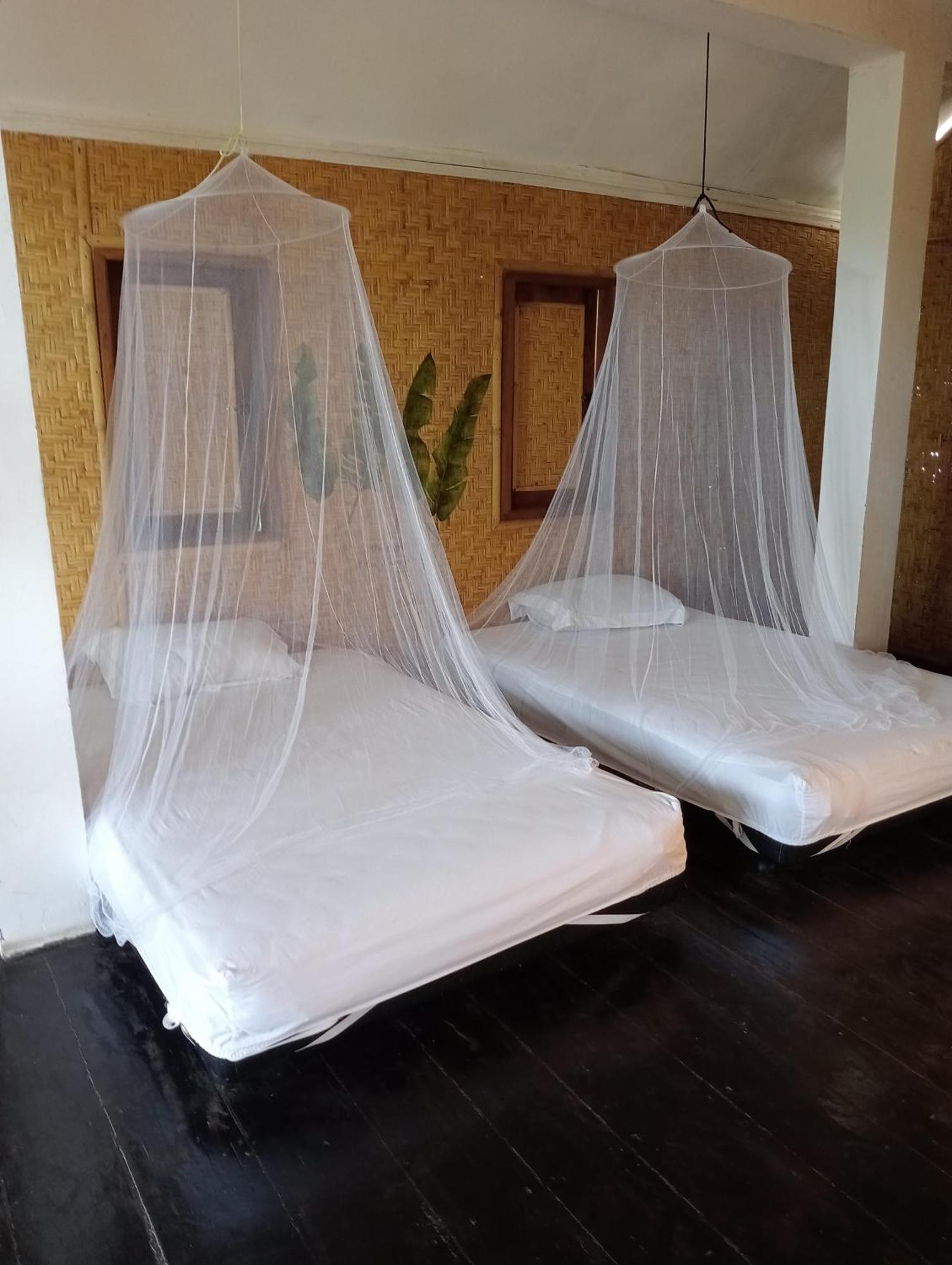 The Daun Puntik Homestay Pemenang Zewnętrze zdjęcie