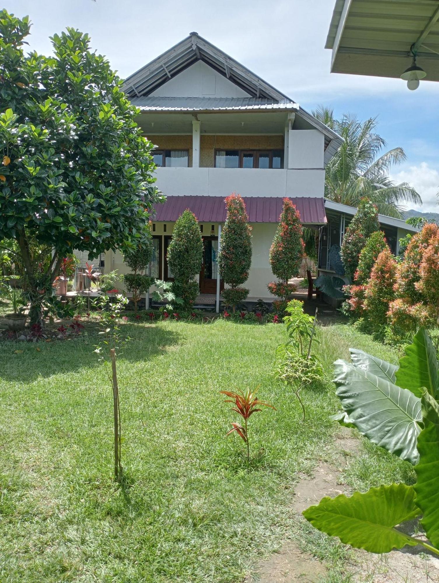 The Daun Puntik Homestay Pemenang Zewnętrze zdjęcie